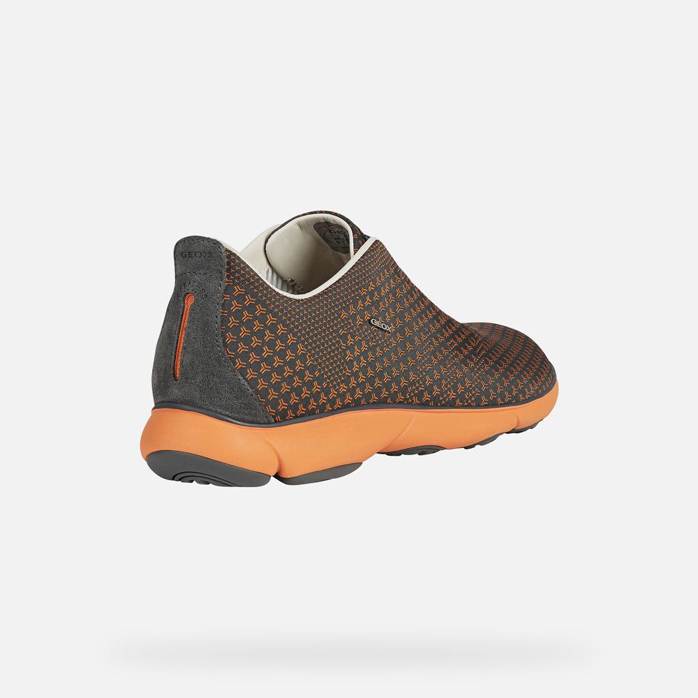 Basket Geox Nebula - Grise Foncé/Orange - Homme 058364-UMD